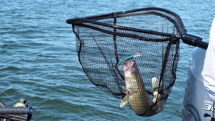 Fishing Net Review for Best Landing Nets for Freshwater