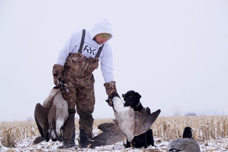 Goose Hunting Tips