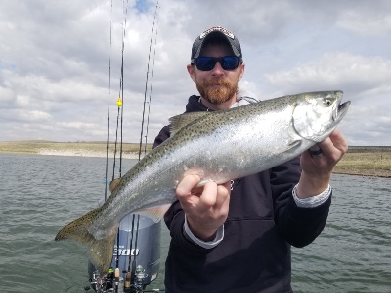 Complete Lake Sakakawea Fishing Guide - Reports | Tips | Resorts