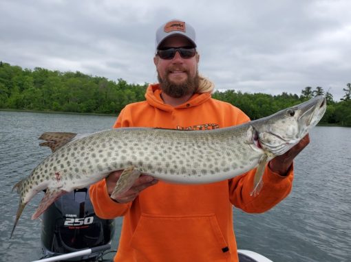 Muskie Trolling 101 and Tips for What Works for Us