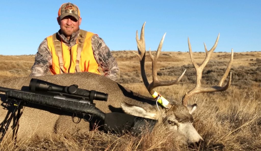 Mule Deer Hunting in Montana