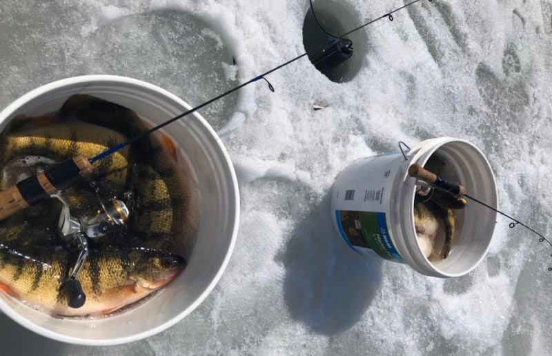 Deadsticks for Ice Fishing