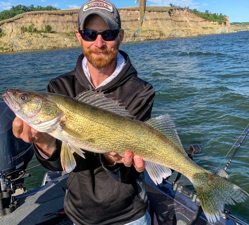 Fish Walleyes in the Summer