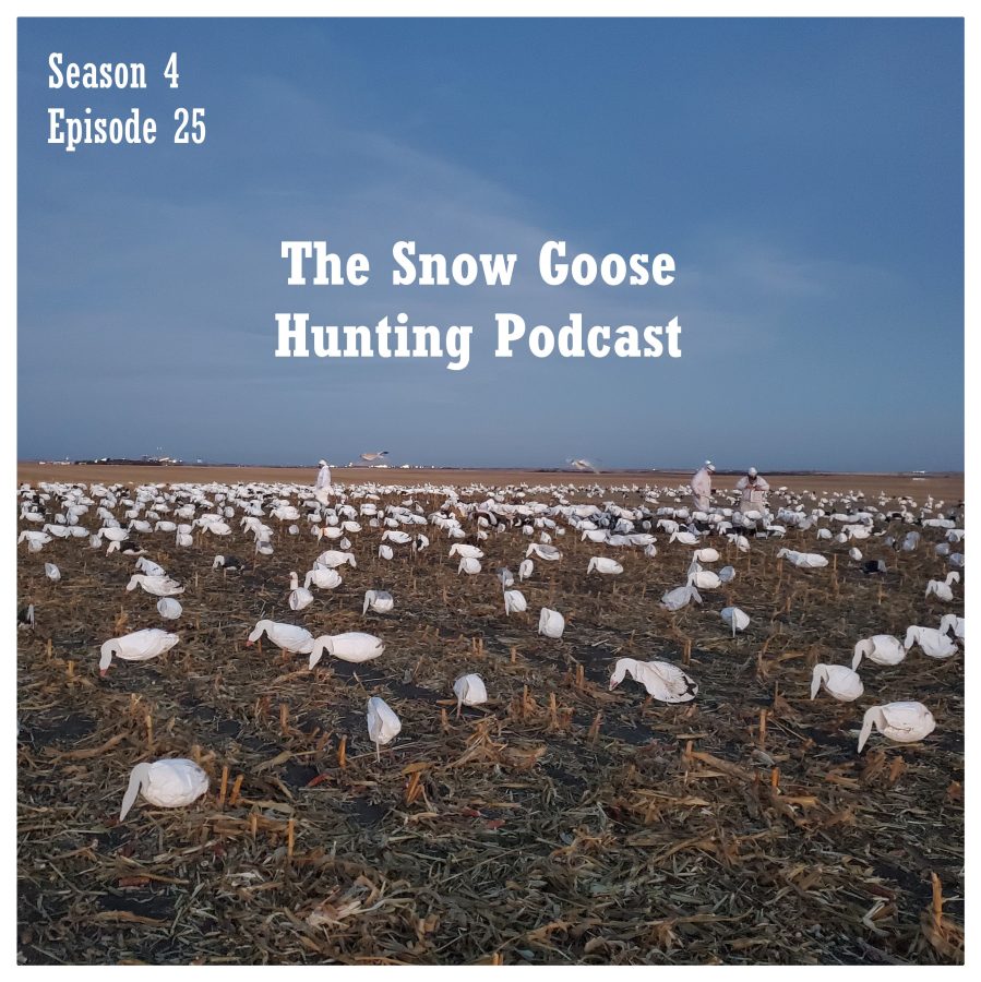 snow goose hunting podcast